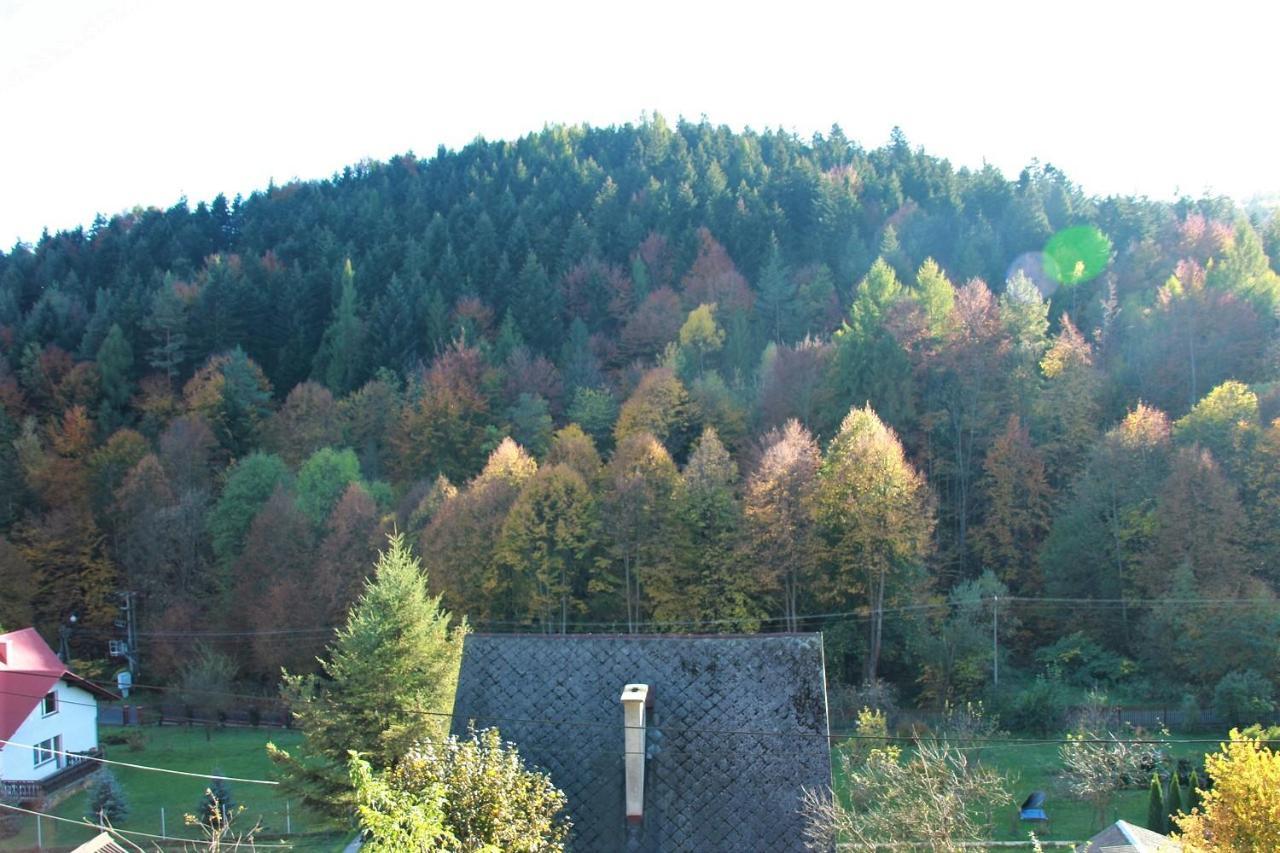 Letniskowa 10 Czernichow (Zywiec) Exterior foto